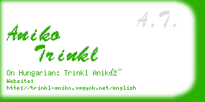 aniko trinkl business card